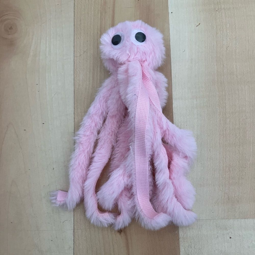 Gently Used Cat Toy